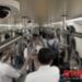 Privacy-by-Design Computer Vision Offers Public Transport Operators a New Path to Smarter Network Management