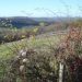 Rural Areas Question UK’s Support for Rewilding Fallow Farmlands