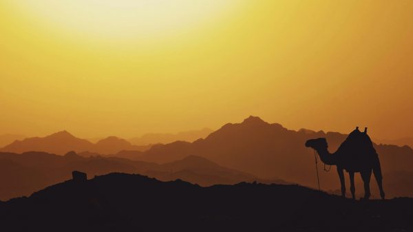 Best PR Tool for Expanding Into the Middle East