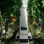 Das Robotik-Startup eternal.ag sichert sich 8 Millionen Euro für die vollständige Automatisierung von Gewächshäusern