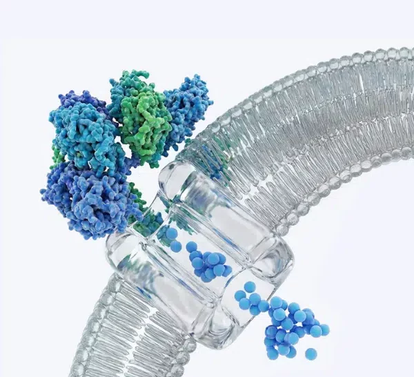 German BioTech iDEL Therapeutics Lands €9 Million to Develop Cancer Therapeutics Platform