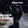 PlutoVets Secures €680K Investment from Flat Capital to Expand Modern Veterinary Care