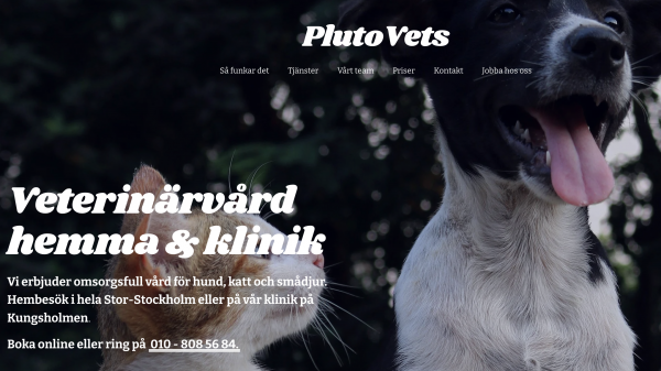PlutoVets Secures €680K Investment from Flat Capital to Expand Modern Veterinary Care