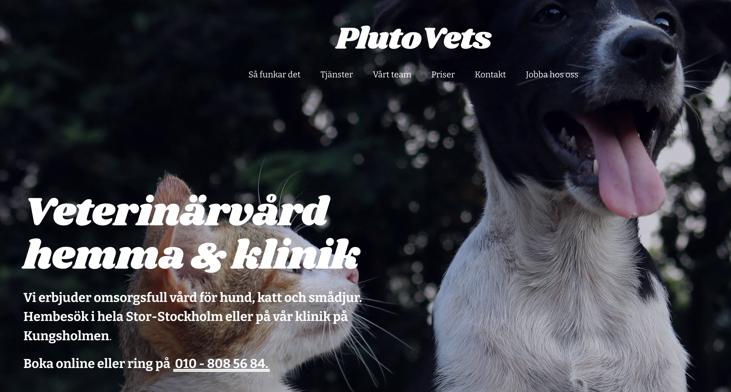 PlutoVets Secures €680K Investment from Flat Capital to Expand Modern Veterinary Care