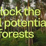 Swedish ClimateTech Startup Treebula Expands Digital Marketplace for Sustainable Forestry