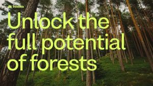 Swedish ClimateTech Startup Treebula Expands Digital Marketplace for Sustainable Forestry