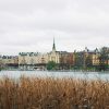 Best Startup Ecosystems in Sweden: Umeå