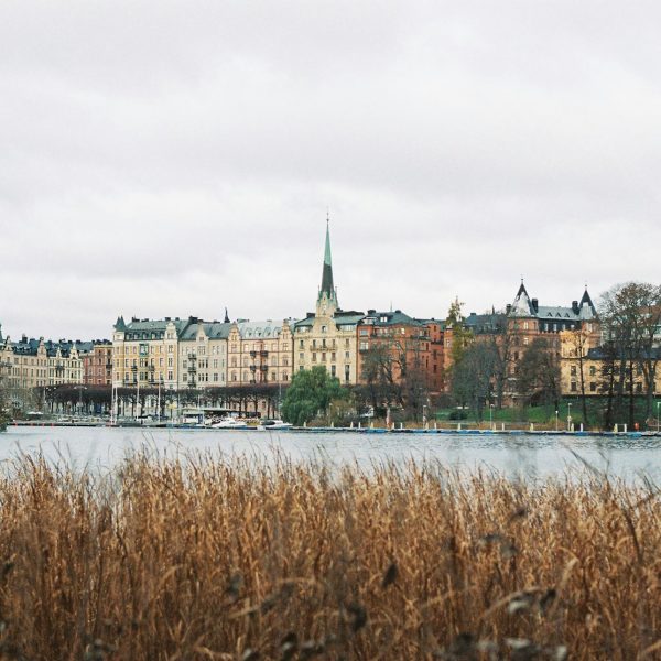 Best Startup Ecosystems in Sweden: Umeå