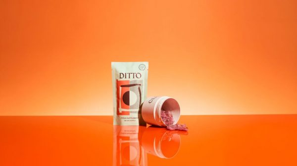 DITTO raises €5.2 million to tackle menstrual health gaps with research and targeted supplements