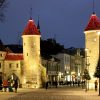 Young Founders to Watch in Estonia