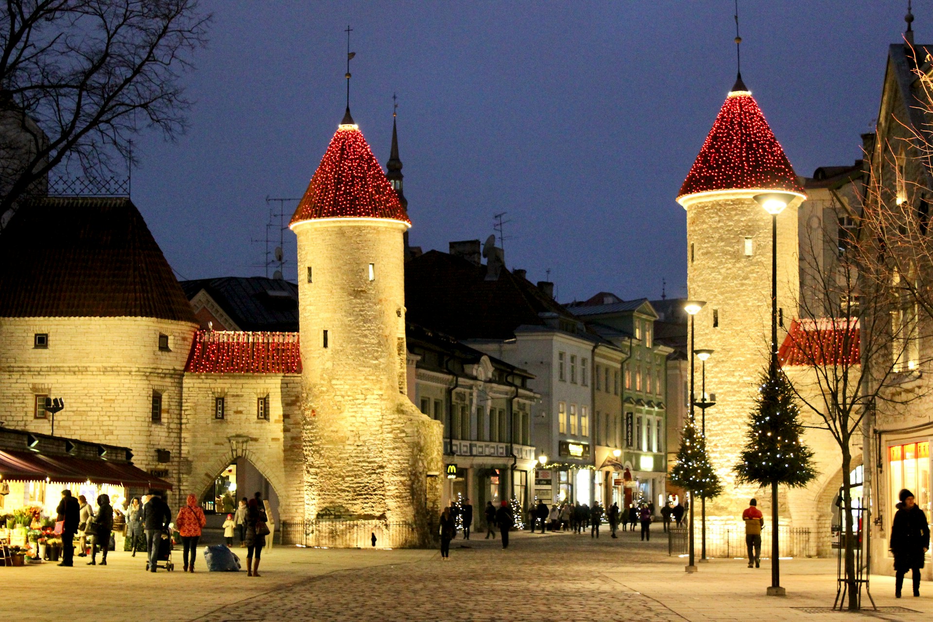 Young Founders to Watch in Estonia