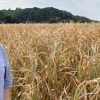 Germany’s Computomics secures €6.3 million to help crop breeders stay ahead of heat and drought