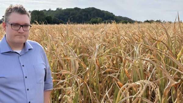 Germany’s Computomics secures €6.3 million to help crop breeders stay ahead of heat and drought