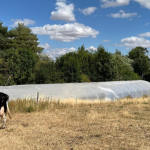 UK's EcoNomad Solutions Lands €466K to Turn Livestock Waste into Renewable Energy for Small Farms