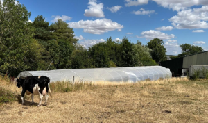 UK's EcoNomad Solutions Lands €466K to Turn Livestock Waste into Renewable Energy for Small Farms