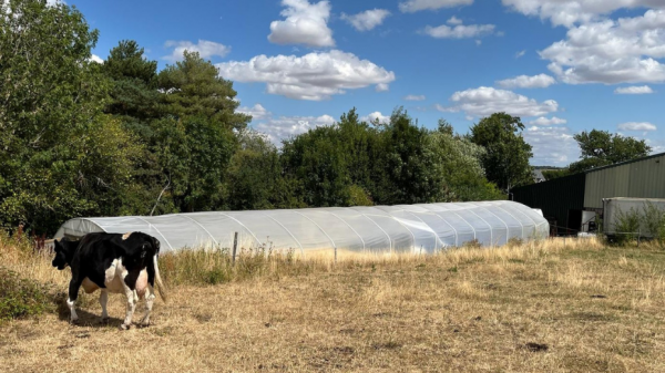 Turning livestock waste into renewable energy for small farms, UK startup EcoNomad Solutions lands €466k