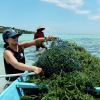 ClimateTech News: Gothenburg's Arbon Earth Secures Historic Carbon Removal Permit in Indonesia