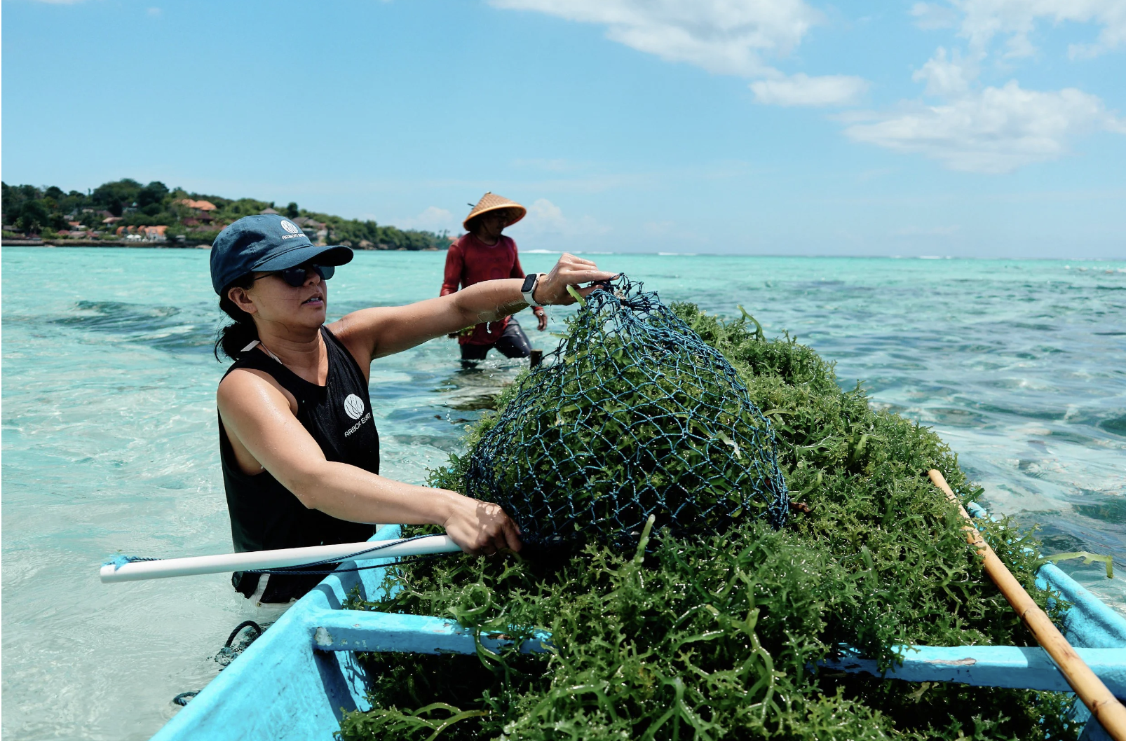 ClimateTech News: Gothenburg's Arbon Earth Secures Historic Carbon Removal Permit in Indonesia