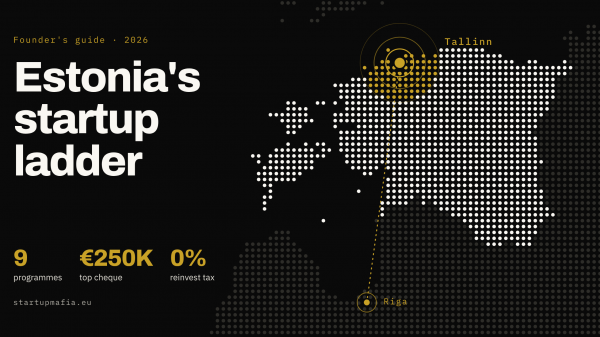 Estonia's Startup Accelerator and Incubator Ecosystem: A Founder's Guide for 2026