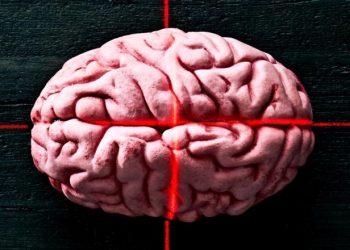 Team shoots light through the skull to control mouse brains