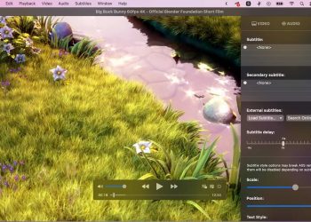 IINA video player for macOS now supports OpenSubtitles, HDR, and more