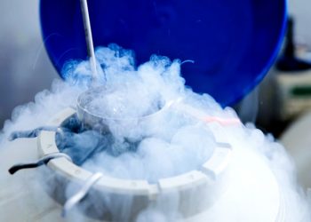 Frozen eggs beat IVF for women who delay pregnancy