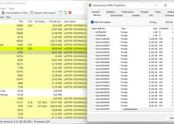 Your browser stores passwords and sensitive data in clear text in memory