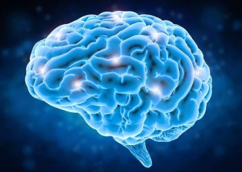 How to stimulate your brain after 50?